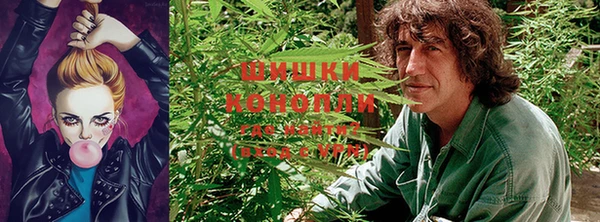 ПСИЛОЦИБИНОВЫЕ ГРИБЫ Богородицк