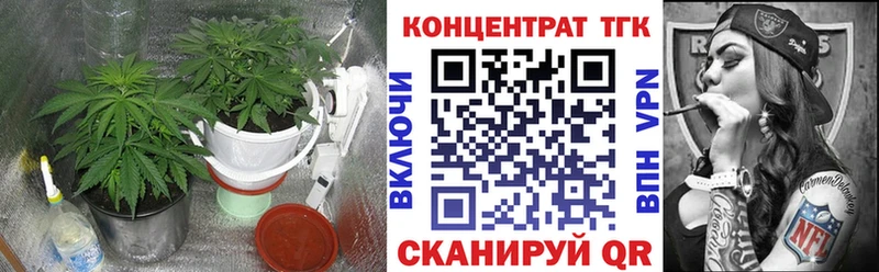 Дистиллят ТГК THC oil Данков